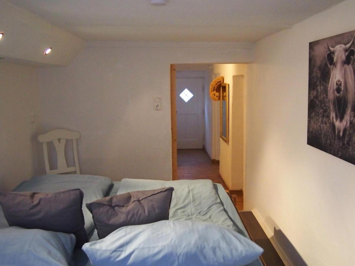 Ferienwohnung Gartenglueck トラウンシュタイン エクステリア 写真
