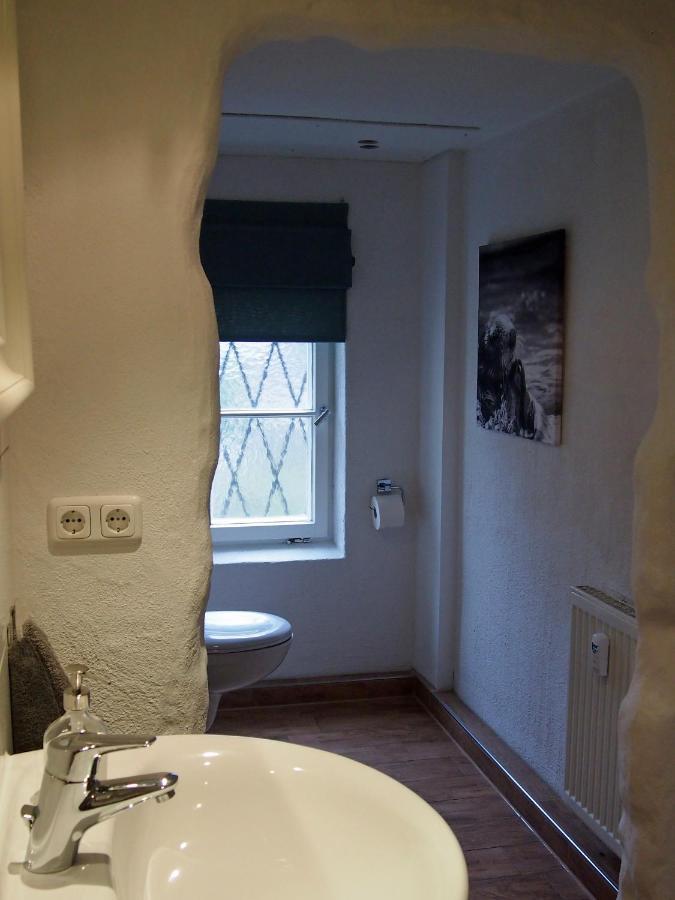 Ferienwohnung Gartenglueck トラウンシュタイン エクステリア 写真
