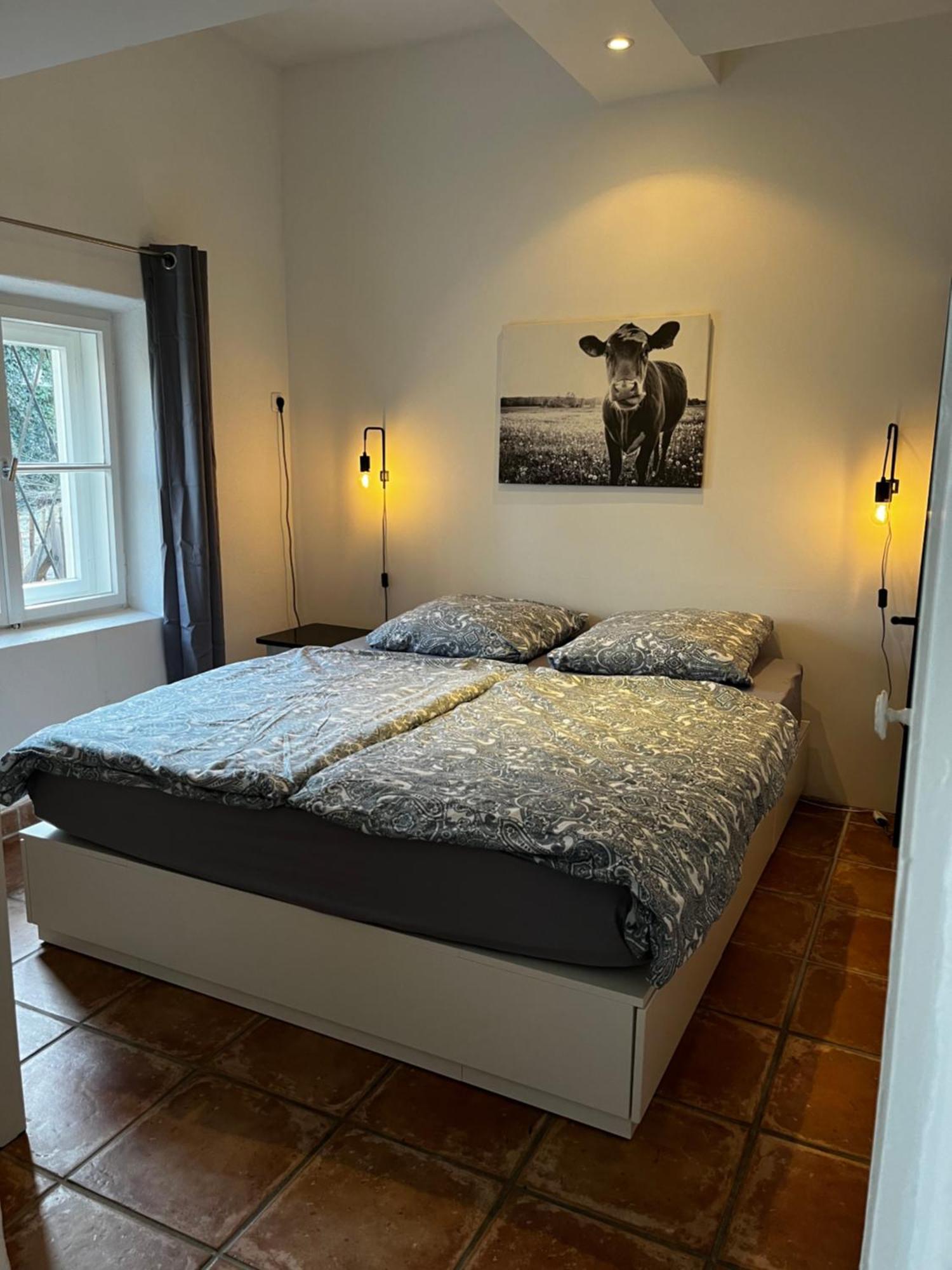 Ferienwohnung Gartenglueck トラウンシュタイン エクステリア 写真